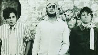 The Vines - 1969 (Zen Demo)