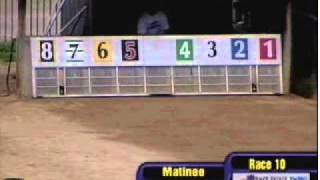KT Bailey Wheeling Downs Grade A 102910.wmv
