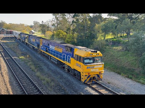 Pacific National’s NR48, NR90 & NR97 with 2BM4 at East Maitland - 2/9/25