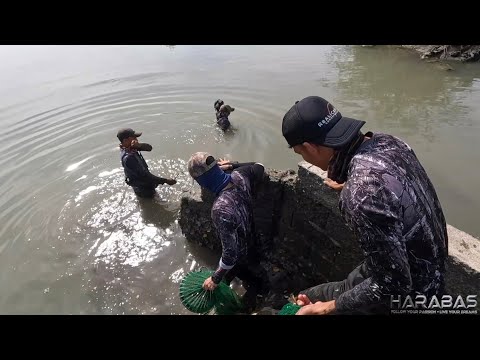 EP840-P1 - Mud Crab Hunting | Occ. Mindoro