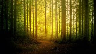 Mind Over Mirrors - Mountain Convalescence