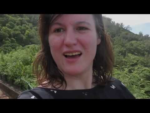 1st impression, La Réunion Island, pacific ocean