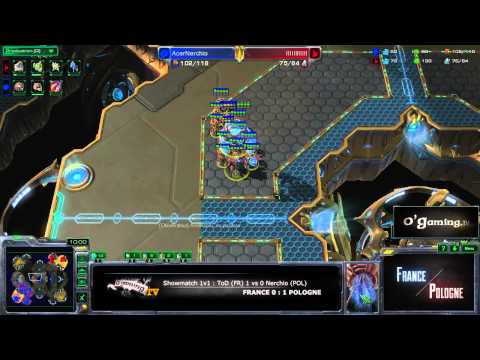 [WTF Co II] France vs Pologne - 1v1 ToD vs Nerchio - 2e match