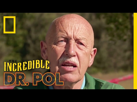 Treating a Horse with Heaves | The Incredible Dr. Pol