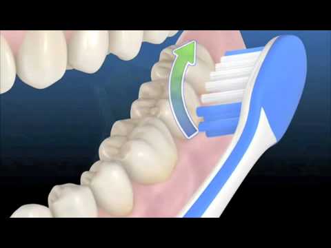 Cómo lavarse los dientes adecuadamente en siete sencillos pasos Cómo lavarse los dientes adecuadamente en siete sencillos pasos