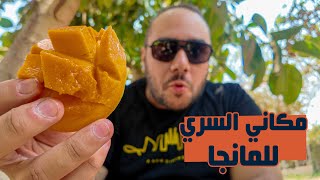 مكاني السري لشراء المانجا ???? - كواليس البادل ????