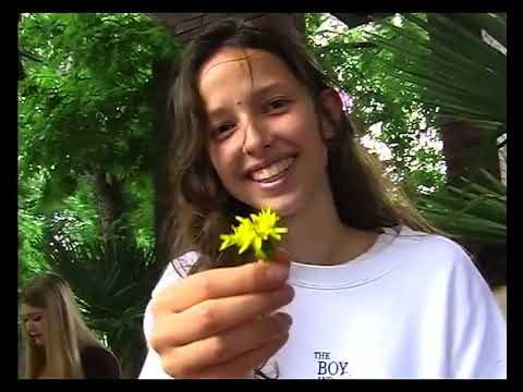 Liza Bibikova, MOISHE - Катамаран (home video)