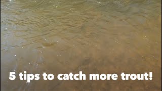 5 Tips to catch more trout!