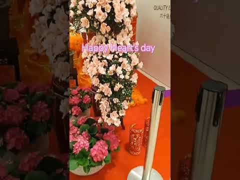 ALWAYS ON MY mind by Elvis Presley, #shorts #shortvideo #elvispresley #elvisfans #beautiful #flowres