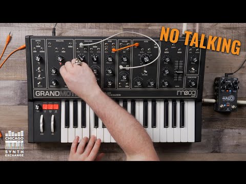 Moog Grandmother | Chicago Synth Exchange