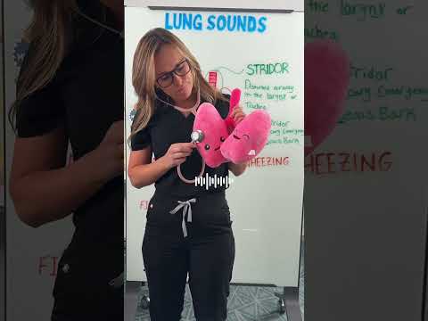 Breath Sounds 🩺