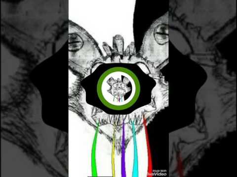 Chime X Desembra X tigers - Clockwork