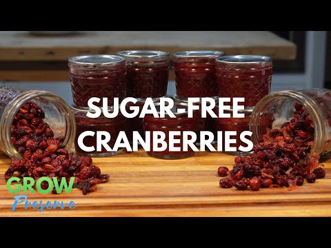 Delicious Sugar-Free Cranberry Sauce (With Canning Instructions) and Dried Cranberries Recipes!