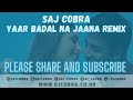 YAAR BADAL NA JAANA ALKA YAGNIK UDIT NARAYAN SAJ COBRA THE LATEST HINDI REMIX 2020