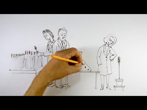 Grüne Gentechnologie für eine nachhaltigere Landwirtschaft?