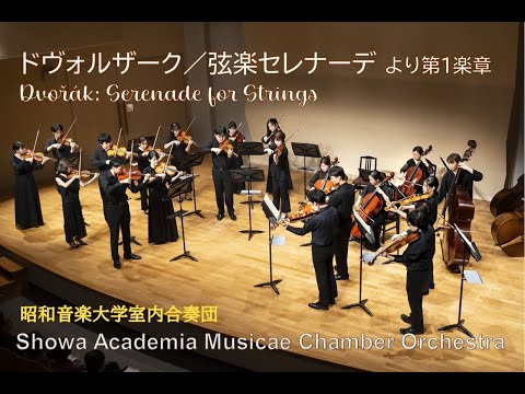 昭和音楽大学室内合奏団　ドヴォルザーク／弦楽セレナーデ～第1楽章 Dvořák: Serenade for Strings - I. Moderato