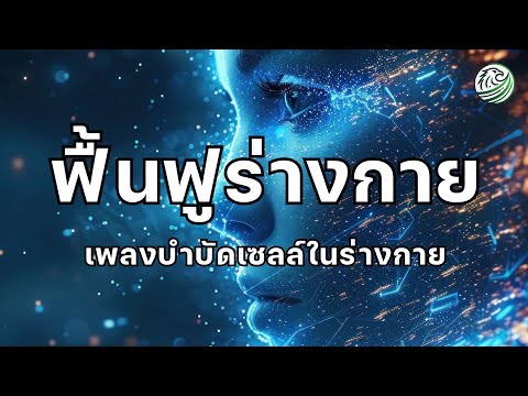 เพลงฟื้นฟูร่างกาย เพลงบำบัดเซลล์ในร่างกาย เพลงฟื้นฟูเซลล์ภายใน เพลงผ่อนคลายสมอง relaxing music