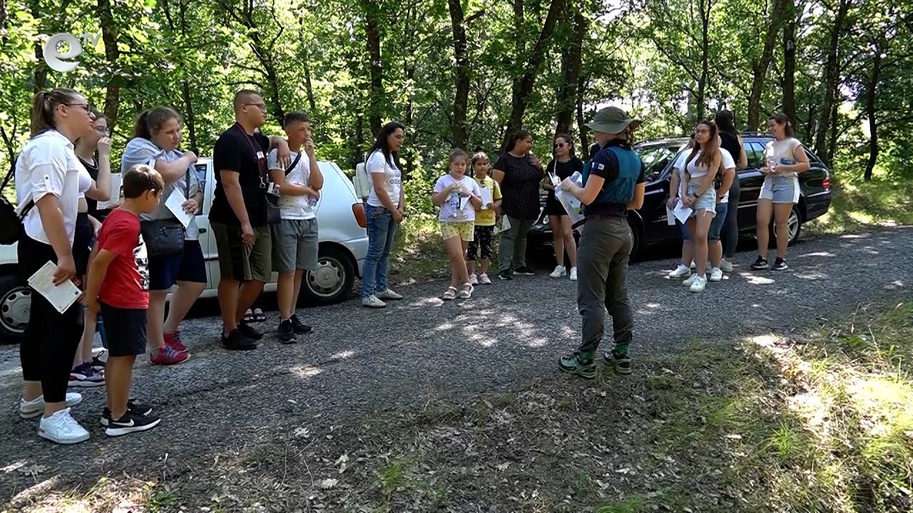 Къщички за прилепи в района на Кърджали, целят опазването на три редки вида от изчезване