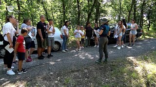 Къщички за прилепи в района на Кърджали, целят опазването на три редки вида от изчезване