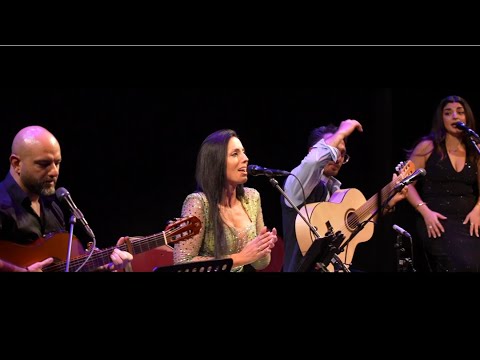 Arash Aria & Friends 2025 - Theater Podium Islemunda #arashandfriends #arasharia 