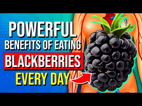 7 POWERFUL Health Benefits Of Eating Blackberries Every Day