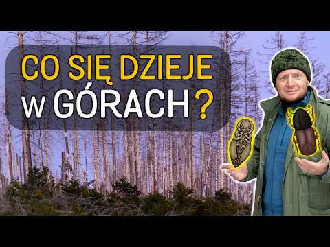 Martwe świerki, wycięte drzewa 🌲 Co się dzieje w Górach Stołowych? - odc.65