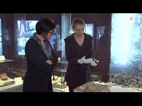 Kaštelir nad vasjo Korte