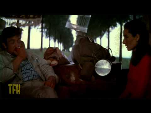 Dan Ireland on TWO FOR THE ROAD