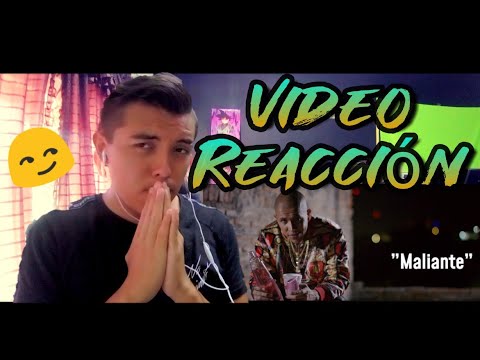 C-Kan X Papi Wilo X Derian X Boy Wonder CF - Maliante [ Video reacción ]