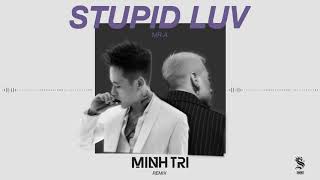 Stupid Luv - MR.A ft. DJ MINH TRI [Remix]