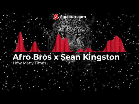 Afro Bros x Sean Kingston   How Many Times