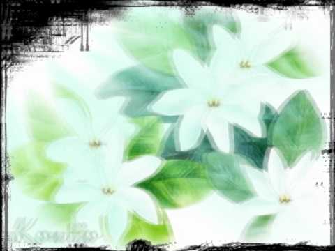 Dj Tomy Ft haunui 2011