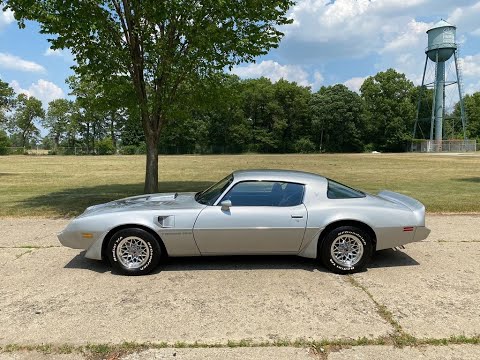 1981 Pontiac Firebird (CC-1352824) for sale in Shelby Township, Michigan