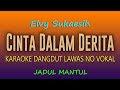 Cinta Dalam Derita Karaoke Elvy Sukaesih