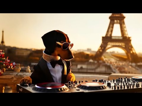 Floating Through Midnight Dimensions 🌌 Best Progressive House Mix & Chill 2025 | Jax the DJ