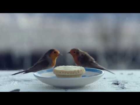 Jan Honkyš & Vánoce - ❄️ Vánoční čas - Jan Honkyš [HD]