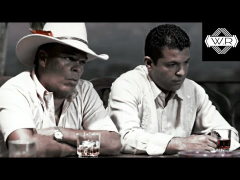 CARTEL DE MEDELLÍN busca opciones para negociar por segunda vez con el GOBIERNO // ELPATRÓNFANS