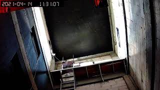 Download lagu kembali sp raja sedot premium 2017 mp3