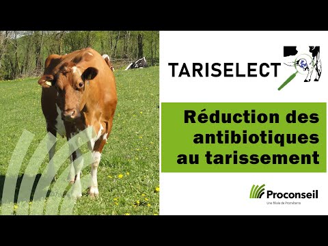 , title : 'Tariselect: réduction des antibiotiques au tarissement (production animale, santé animale)'
