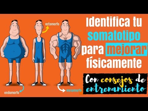 Identifica tu somatotipo para mejorar físicamente: ectomorfo, mesomorfo o endomorfo