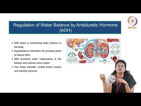 Water and Electrolytes