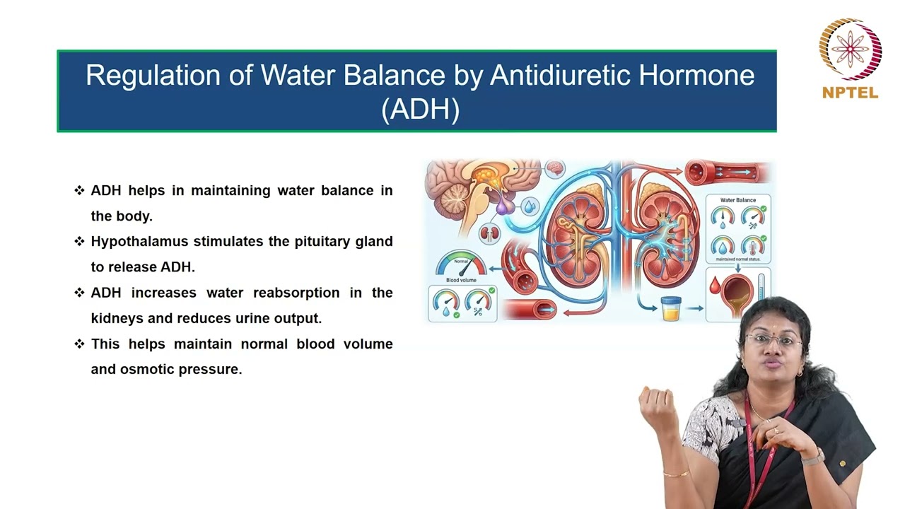 Water and Electrolytes