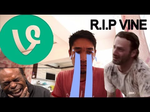R.I.P Vine (Ganaa's vine compilation)