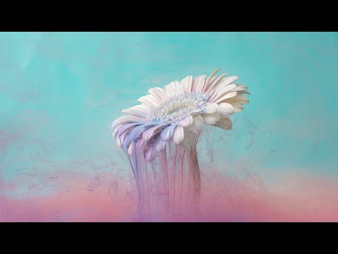 [FREE] Emo Rock KennyHoopla x Nothing, Nowhere Type Beat \\ Circles