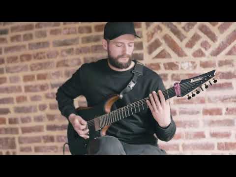 When Plagues Collide - Harvesting the Uterus (GUITAR PLAYTHROUGH)