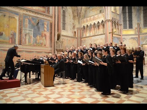 download lagu mp3 mp4 Philharmonischer Chor Nürnberg, download lagu Philharmonischer Chor Nürnberg gratis, unduh video klip Philharmonischer Chor Nürnberg