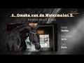 Omaha van de Watermolen S Video 1