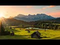 Free Nature Video Download Free Nature Video Download Free Nature Video