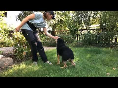 Nauka targetowania - Podążanie za ręką