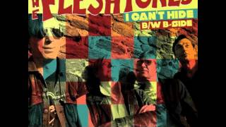 The Fleshtones "I Can't Hide"